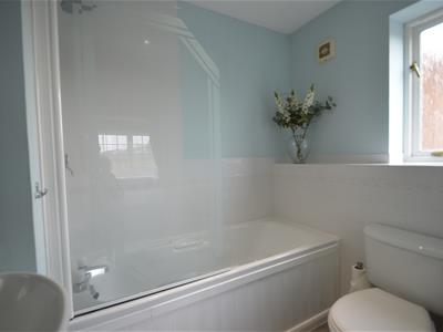 Picture 16